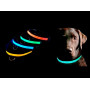 Ошейник для собак Luminous Collar For Dog светящийся